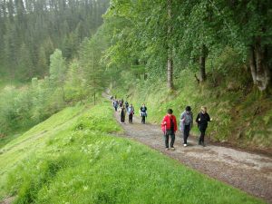 18014550583_ee58d2415a_h